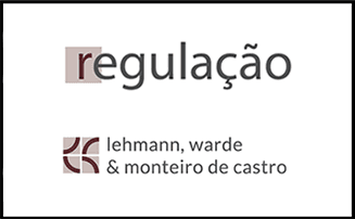 A governança da empresa em crise