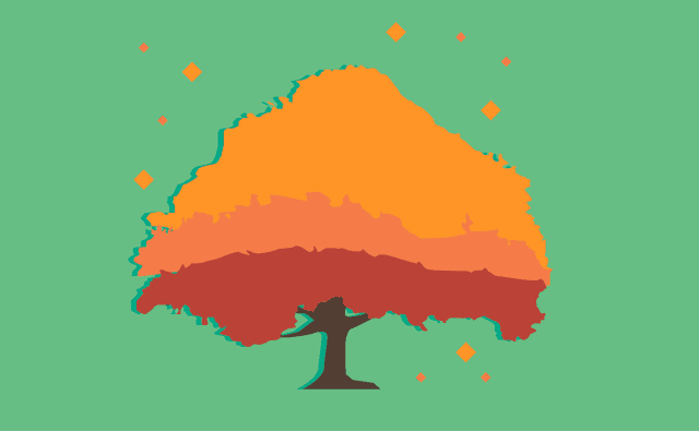 O valor da floresta