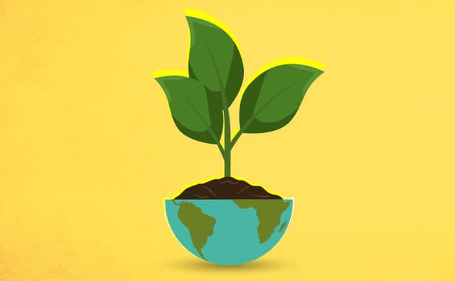 As lições do Greenpeace para o investimento ESG