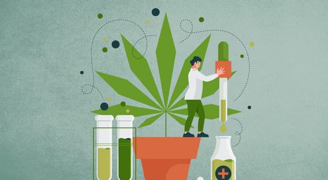 O futuro promissor da indústria global de Cannabis 