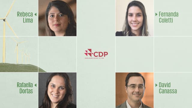 TNFD nas empresas: resultados iniciais e recomendações