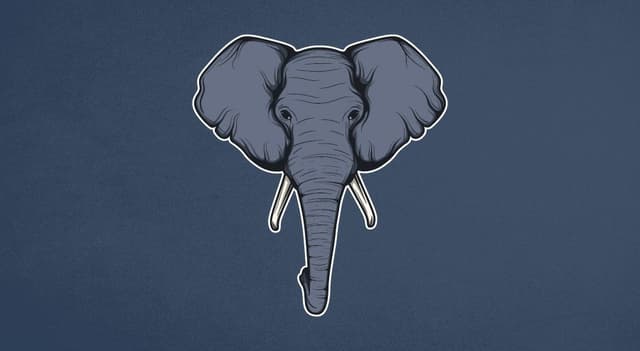 O elefante da governança