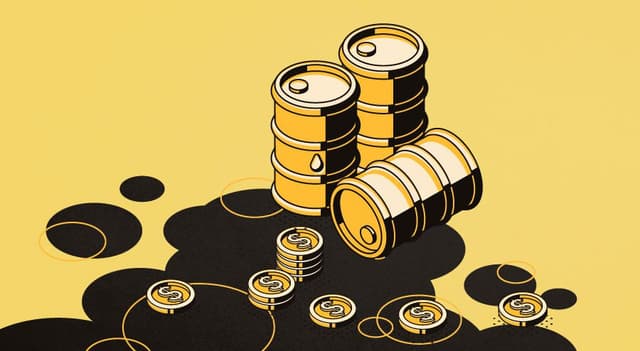 Investidor de Petrobras usa escudo contra Bolsonaro