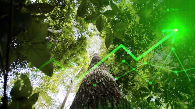 Entenda o projeto que cria o mercado de carbono aprovado no Senado