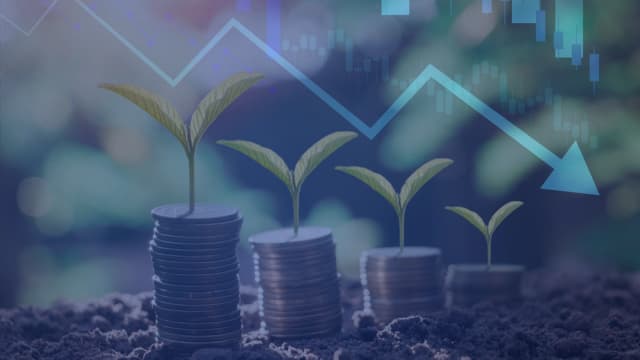 Cautela coloca recursos para venture capital em modo de espera