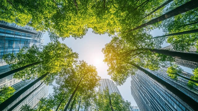BlackRock, Vanguard e State Street: menos apoio a iniciativas ESG