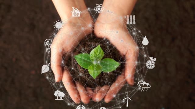 Integridade e ESG: o Brasil no caminho da sustentabilidade e ética global