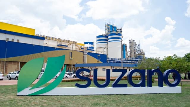 Suzano avalia oportunidades de fusões e aquisições que somam US$ 3 bilhões, diz CEO