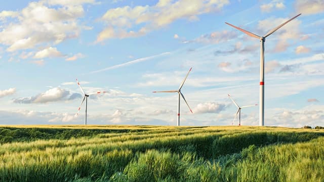 Dos Alpes ao Brasil: estruturação jurídica como alicerce para o sucesso do capital suíço no Brasil