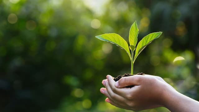 Países seguem exemplo do Brasil e 37 deles passarão a adotar normas de divulgação ESG 