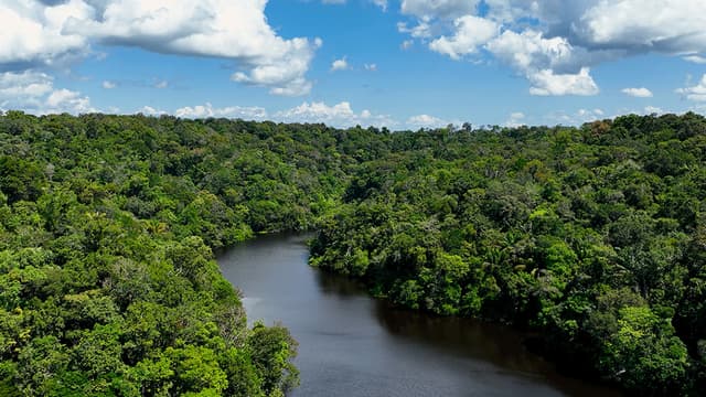 Tesouro faz ajustes em 4º leilão do Eco Invest